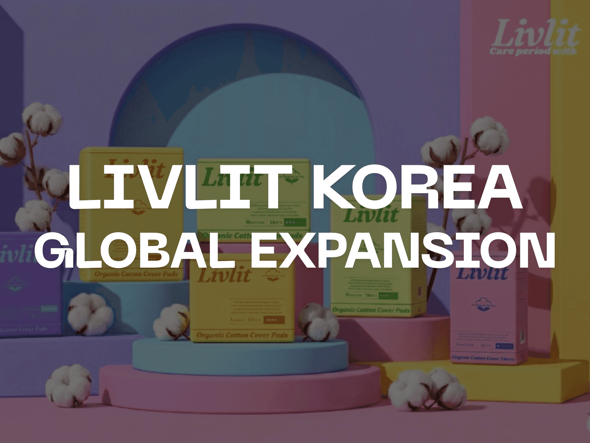LIVLIT: 한국 시장 진출 및 글로벌 라이센스 사업