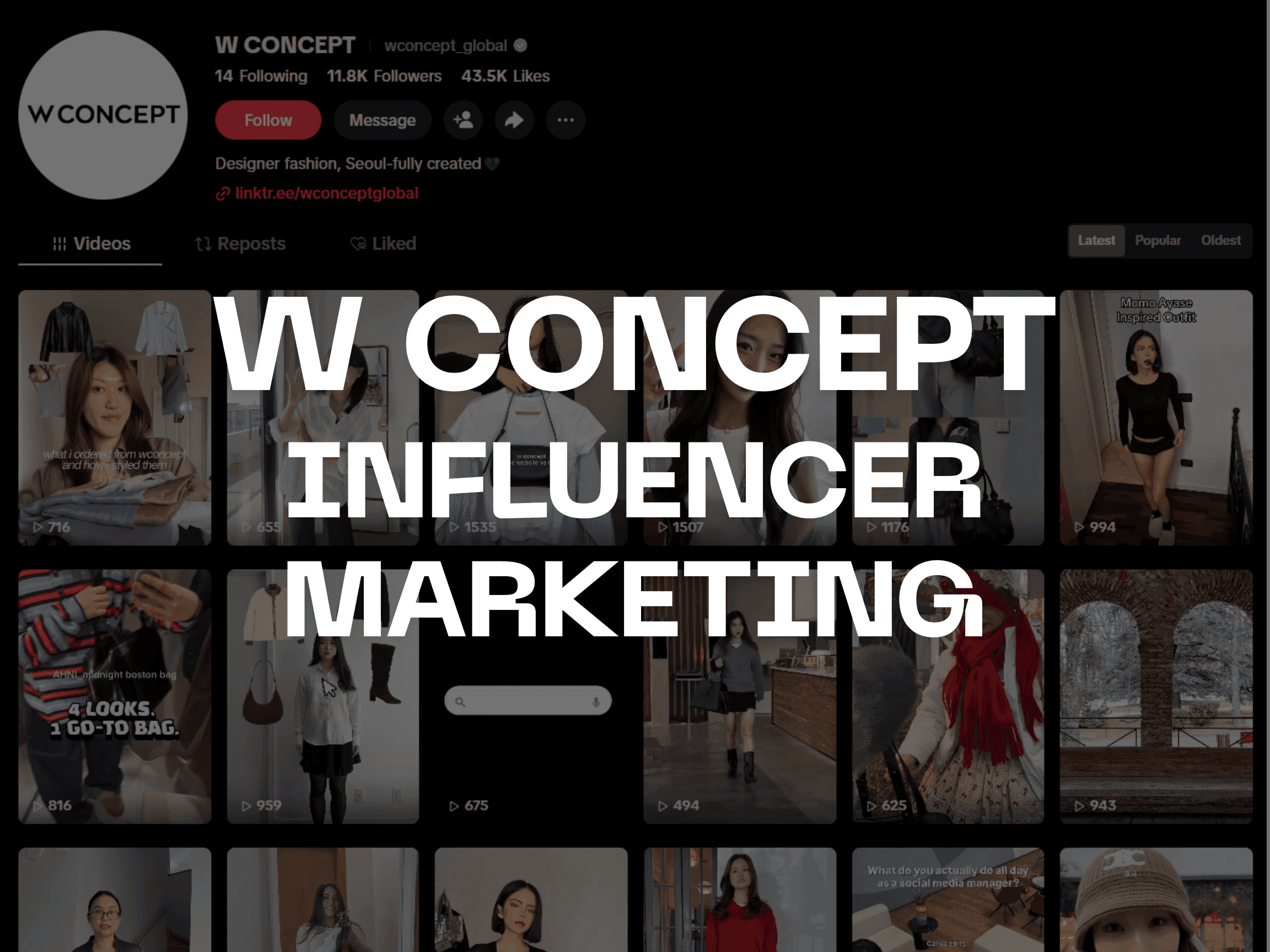 W CONCEPT: 미국향 인플루언서 마케팅 및 연계 퍼포먼스 마케팅
